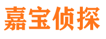 环江侦探公司